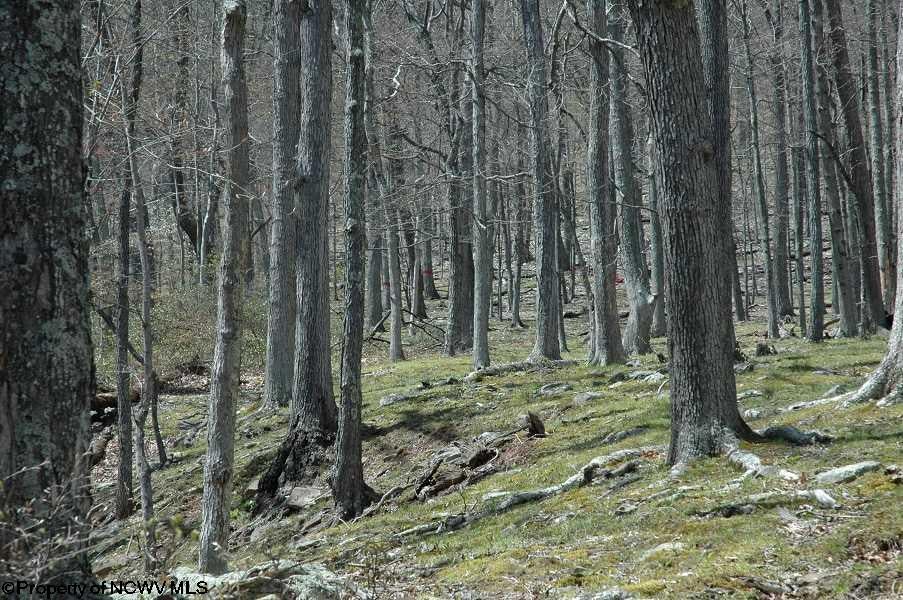 8239 Co Rte 5/2 Seneca Rocks, WV 26884 - Photo 11 of 17 Gallery Image 11