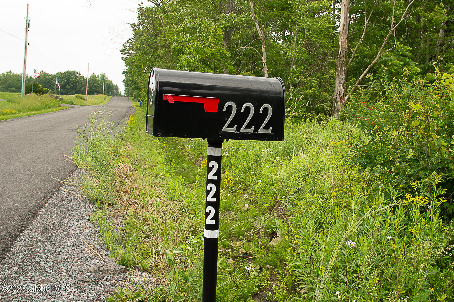 222 Goewey Road Fultonville, NY 12072 - Photo 71 of 71 DSC_5114