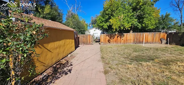 a view of backyard and tree