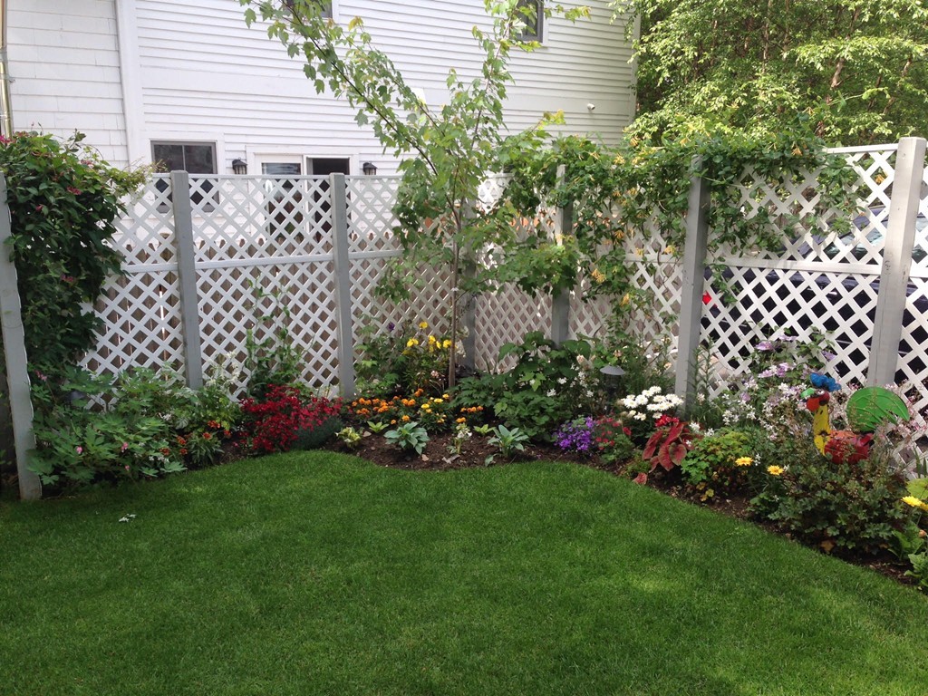 54 Spring Street Somerville, MA 02143 - Photo 28 of 30 Gallery Image 28
