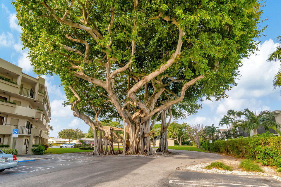 555 Banyan Tree Lane, Unit 302 Delray Beach, FL 33483 - Photo 15 of 69 15-web-or-mls-DSC_0985