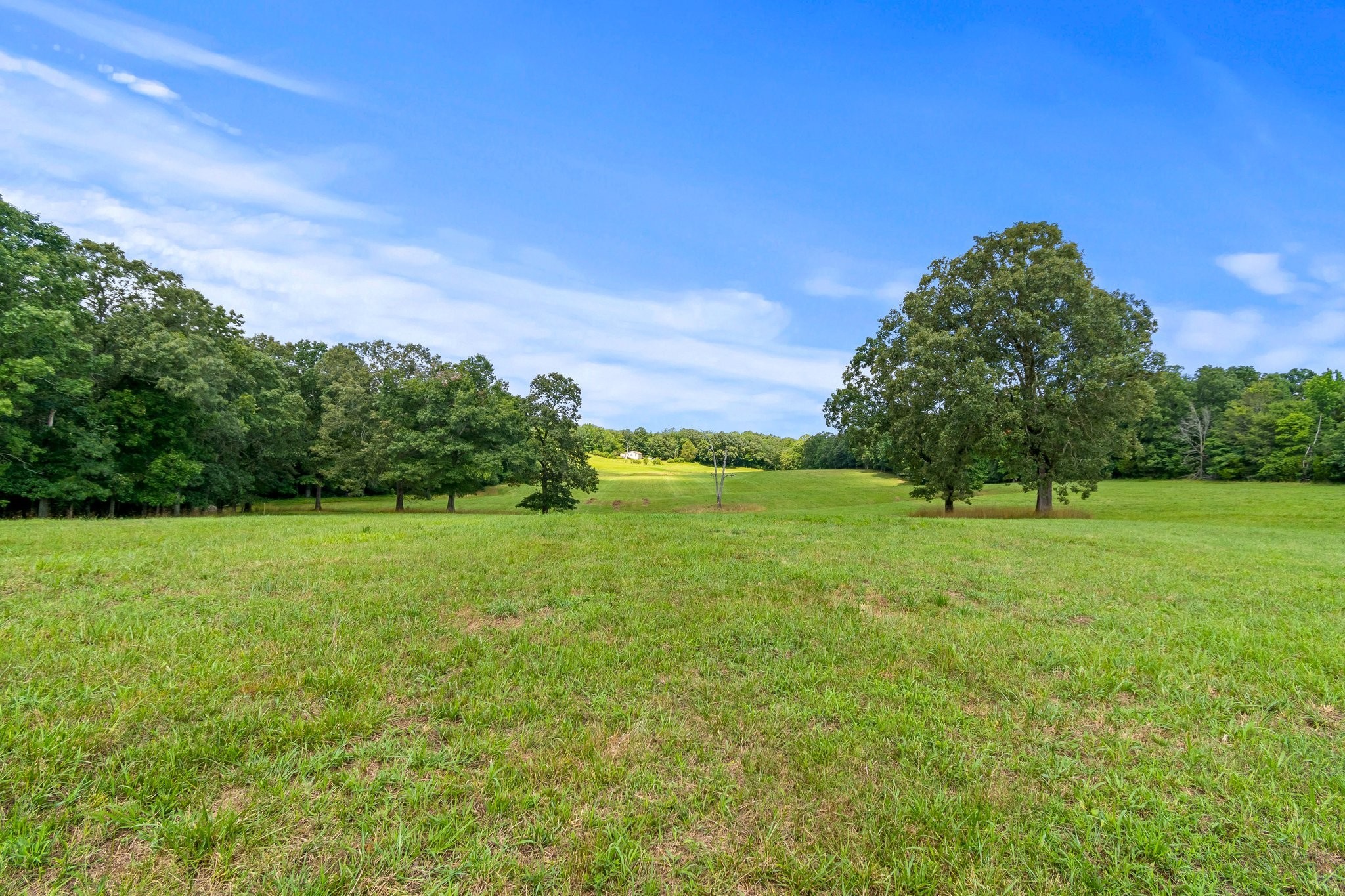 0 Lower Shipps Bend Road North Centerville, TN 37033 - Photo 3 of 6 Gallery Image 3