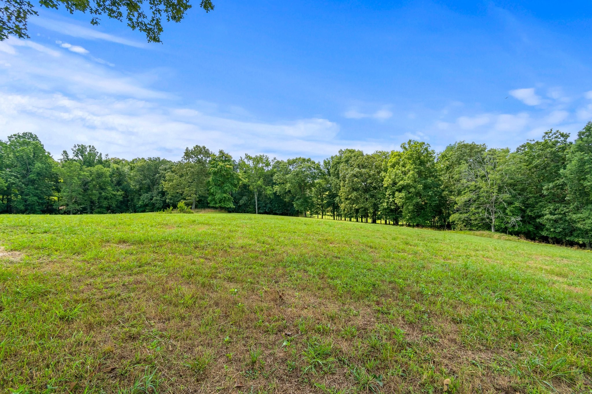 0 Lower Shipps Bend Road North Centerville, TN 37033 - Photo 4 of 6 Gallery Image 4