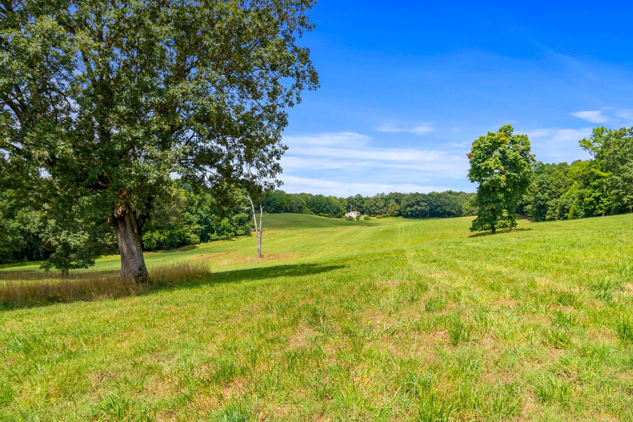 0 Lower Shipps Bend Road North Centerville, TN 37033 - Photo 5 of 6 Gallery Image 5