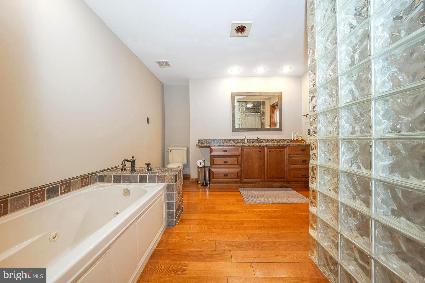 612 Manayunk Road Merion Station, PA 19066 - Photo 29 of 48 a spacious bathroom with a tub sink and mirror