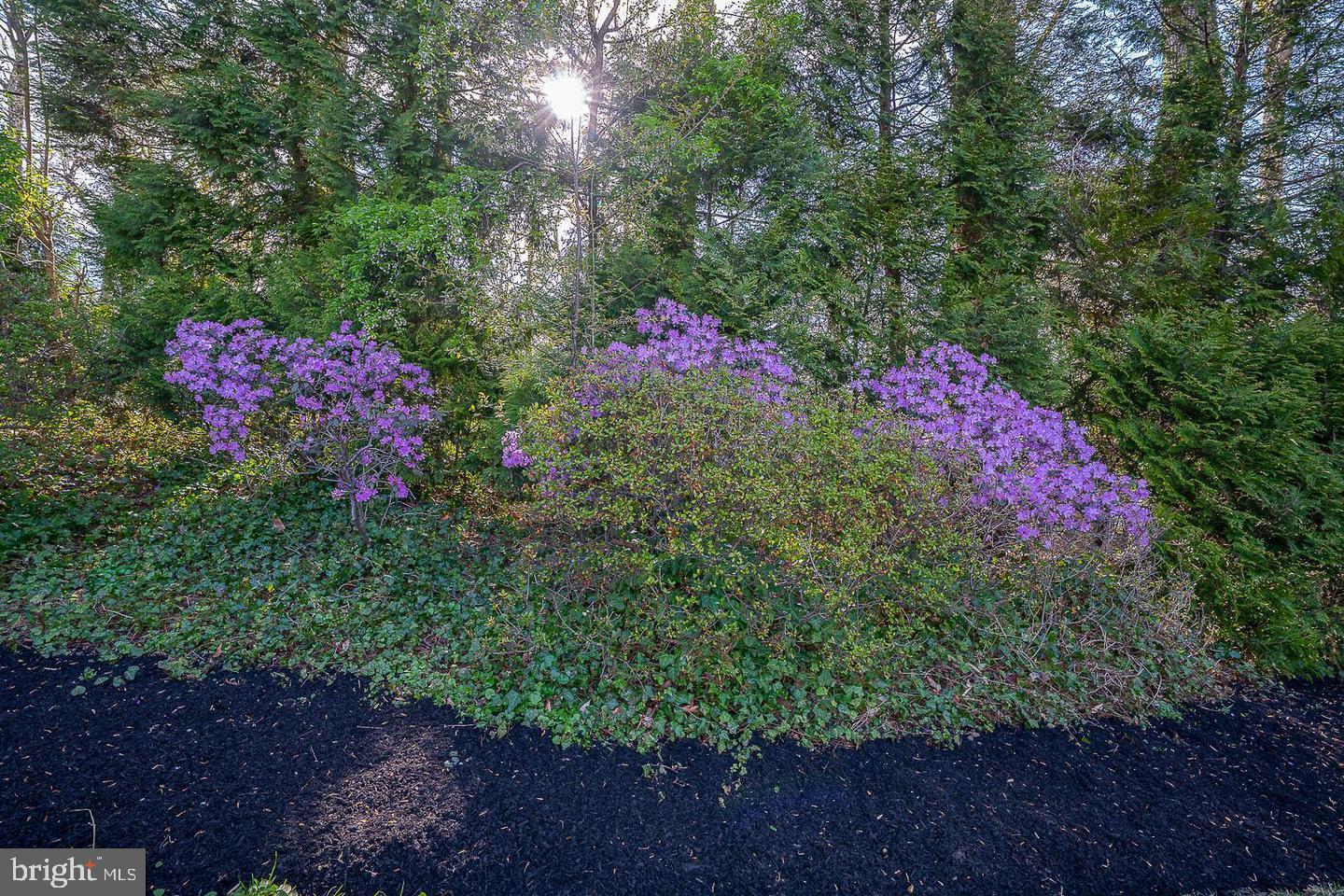612 Manayunk Road Merion Station, PA 19066 - Photo 41 of 48 a view of yard with flowers and trees