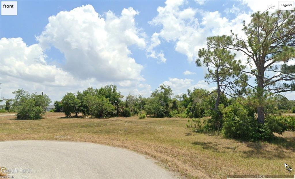 a view of a yard with yellow lighting