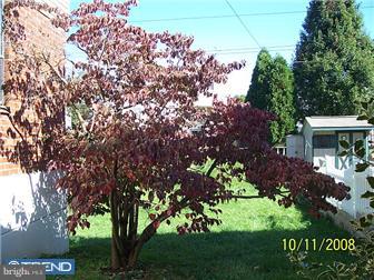 3835 Red Lion Road Philadelphia, PA 19154 - Photo 2 of 11 Exterior