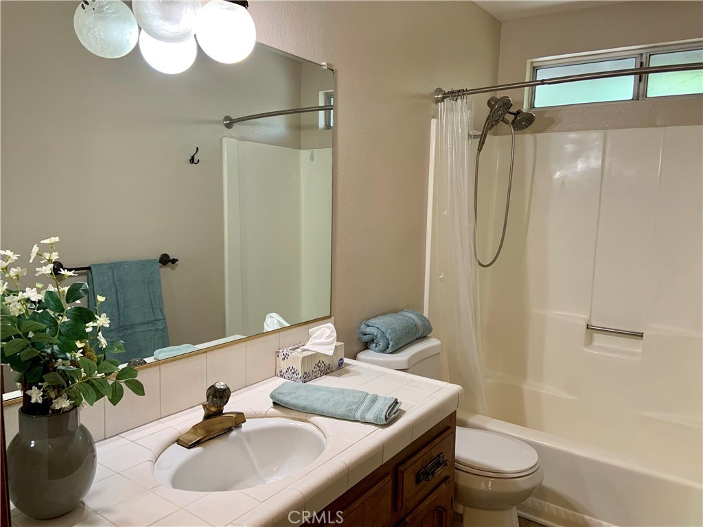 5507 Zermatt Drive Wrightwood, CA 92397 - Photo 23 of 31 a bathroom with a sink toilet and shower