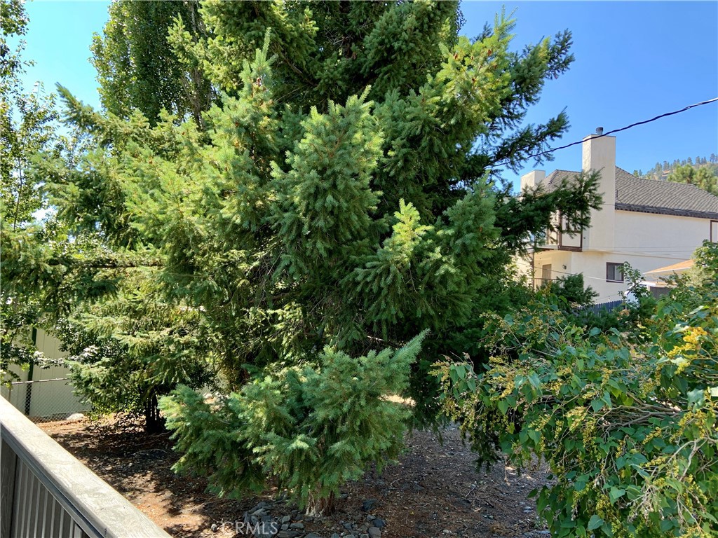 5507 Zermatt Drive Wrightwood, CA 92397 - Photo 28 of 31 a view of a garden