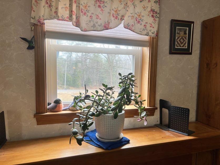 188 Mill Hill Road Waterford, ME 04088 - Photo 24 of 68 IMG_3153