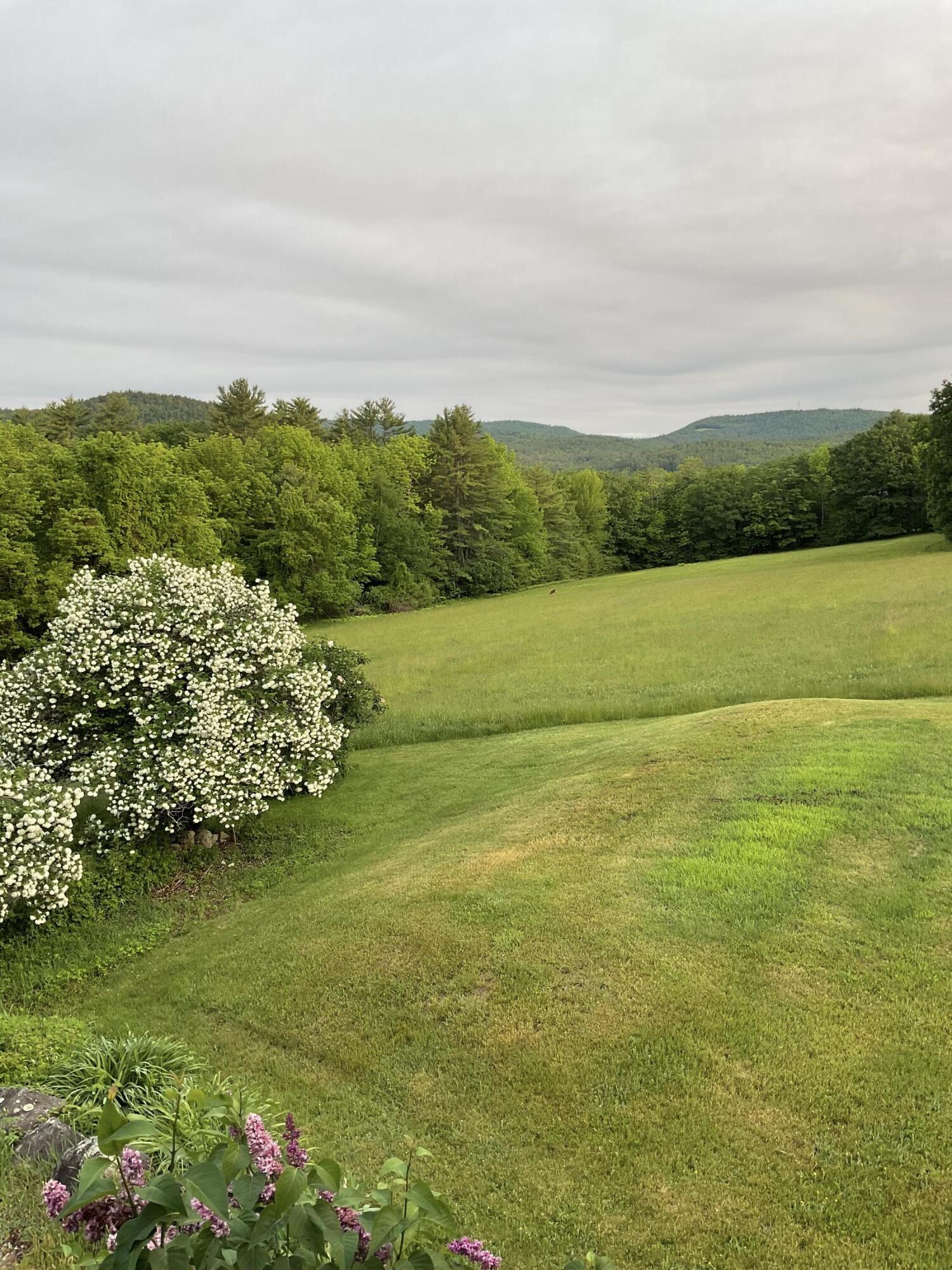 188 Mill Hill Road Waterford, ME 04088 - Photo 3 of 68 View from the porch