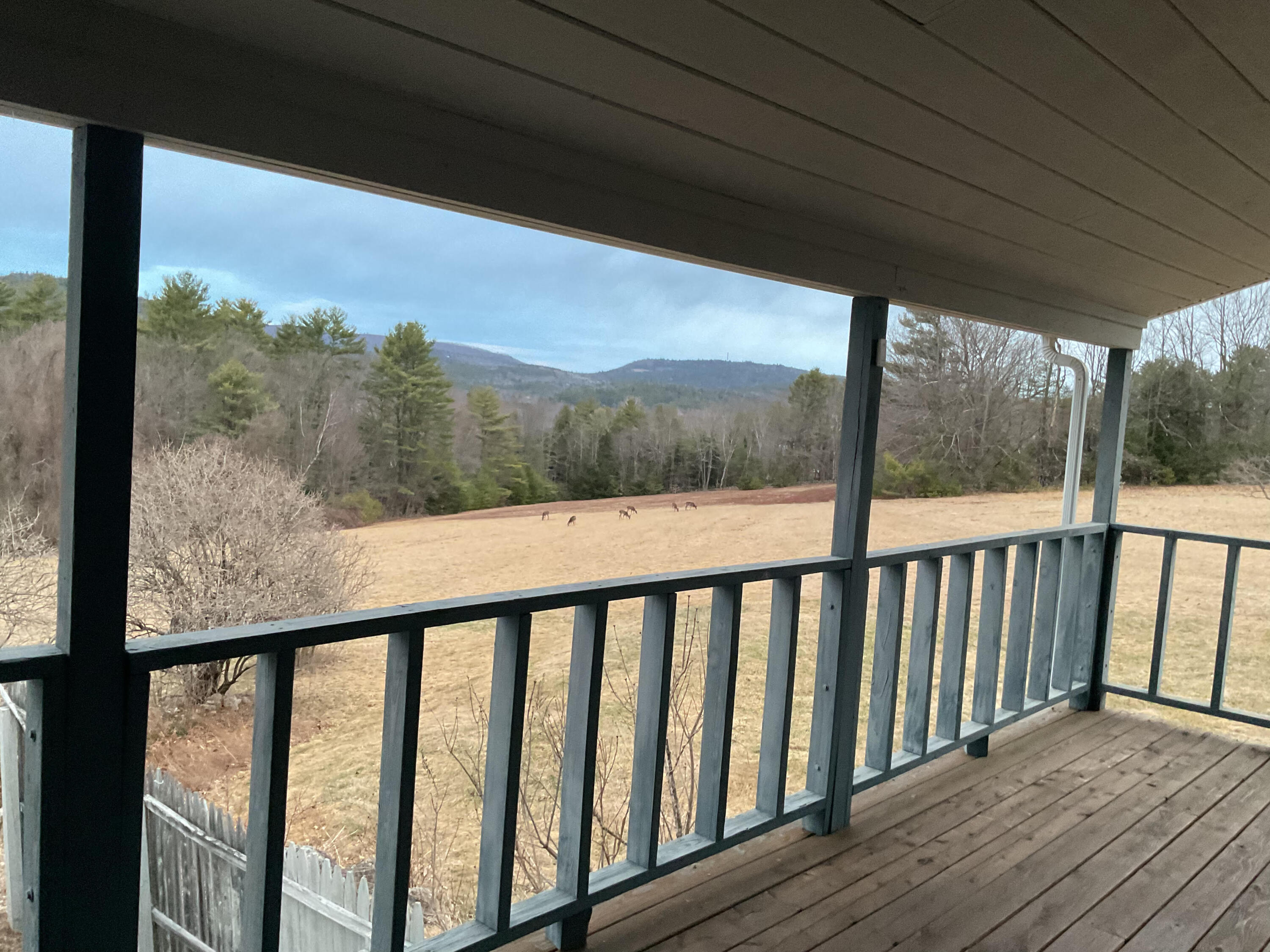 188 Mill Hill Road Waterford, ME 04088 - Photo 7 of 68 Deer