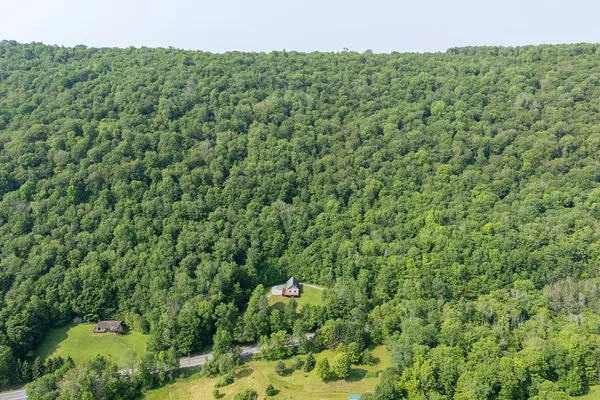 $449,900 | 24780 State Highway, Downsville, NY 13755
