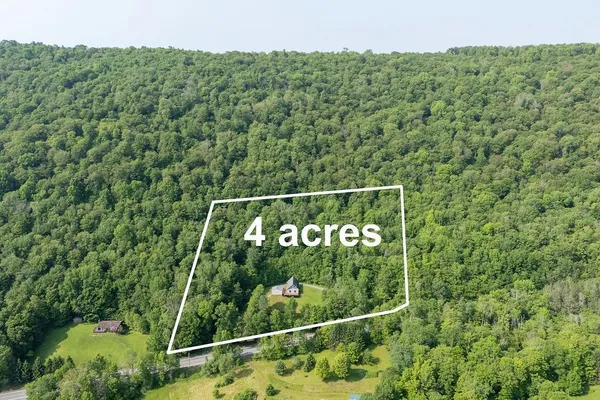 $449,900 | 24780 State Highway, Downsville, NY 13755