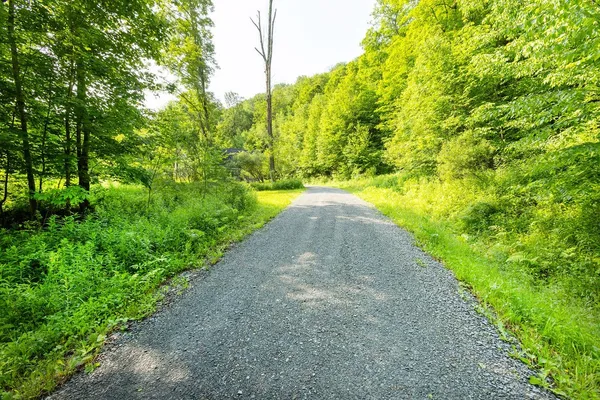 $449,900 | 24780 State Highway, Downsville, NY 13755