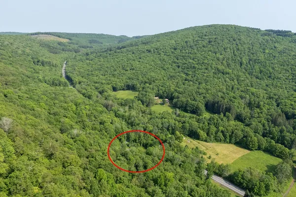 $449,900 | 24780 State Highway, Downsville, NY 13755