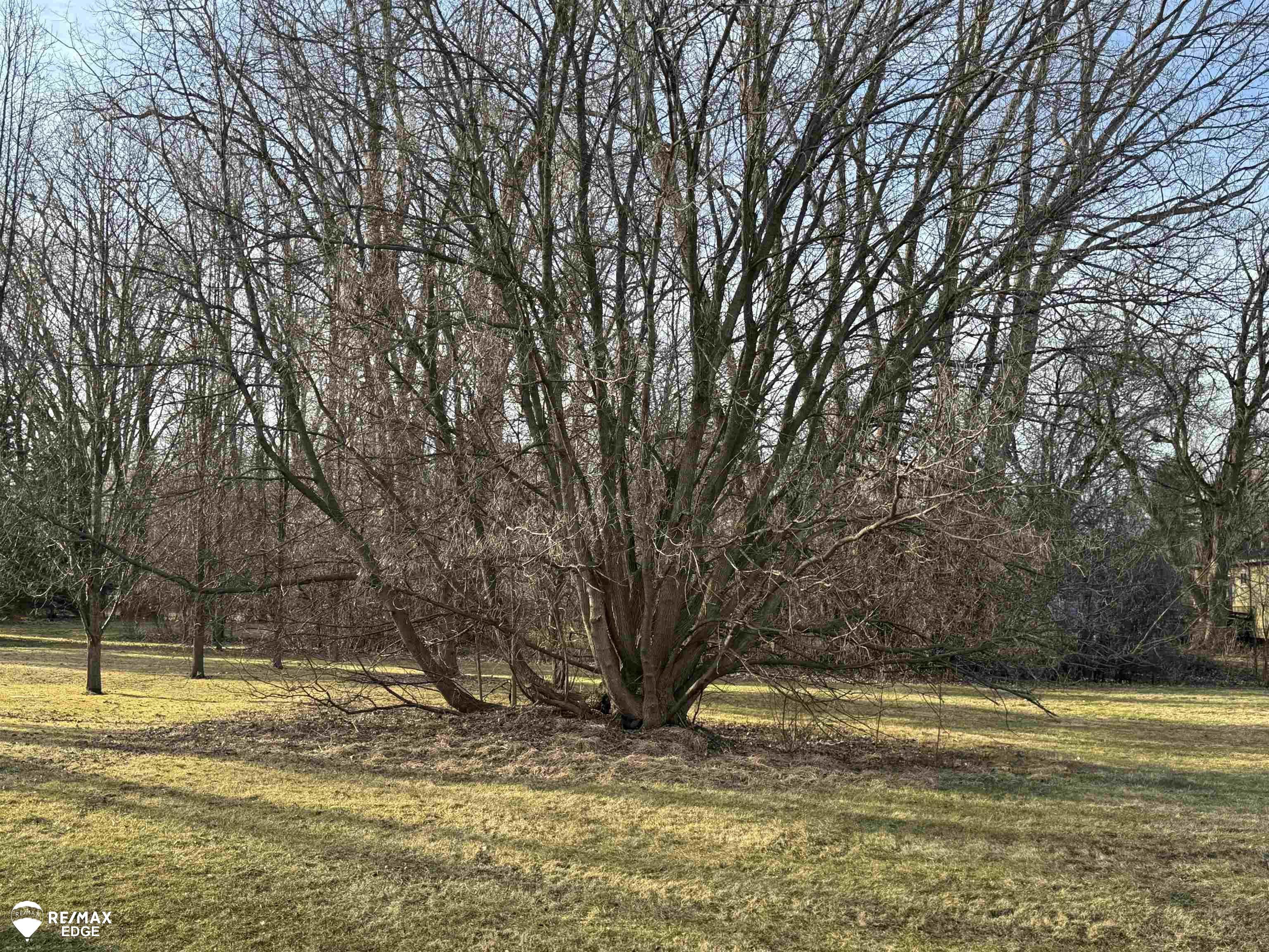 0 South Genesee Road Burton, MI 48509 - Photo 3 of 4