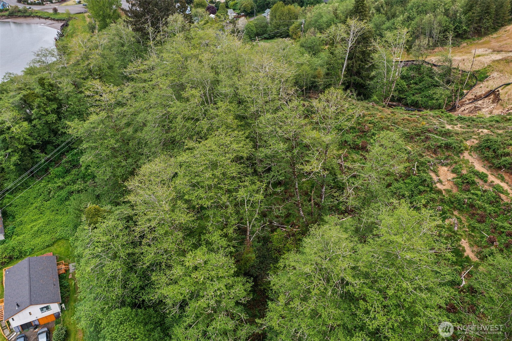 X Jefferson Street Raymond, WA 98577 - Photo 8 of 15