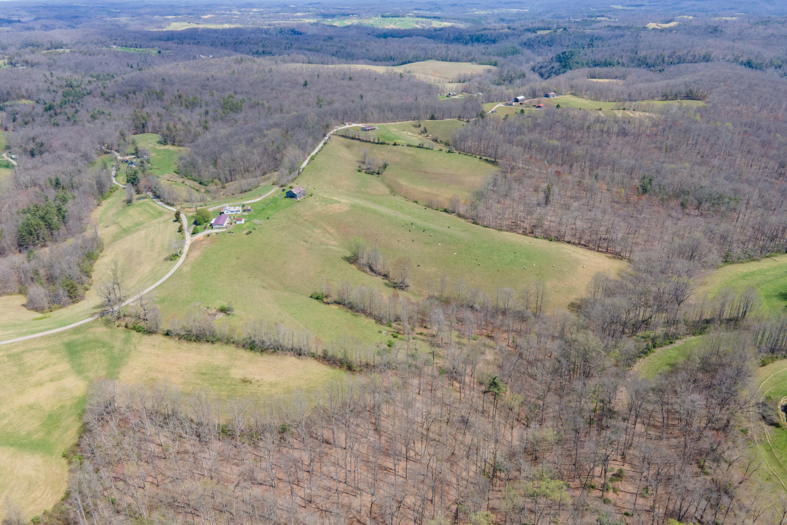 1211 Ebon Road Wellington, KY 40387 - Photo 7 of 8 20220414-35-Whites-Branch-Rd-davis-drone
