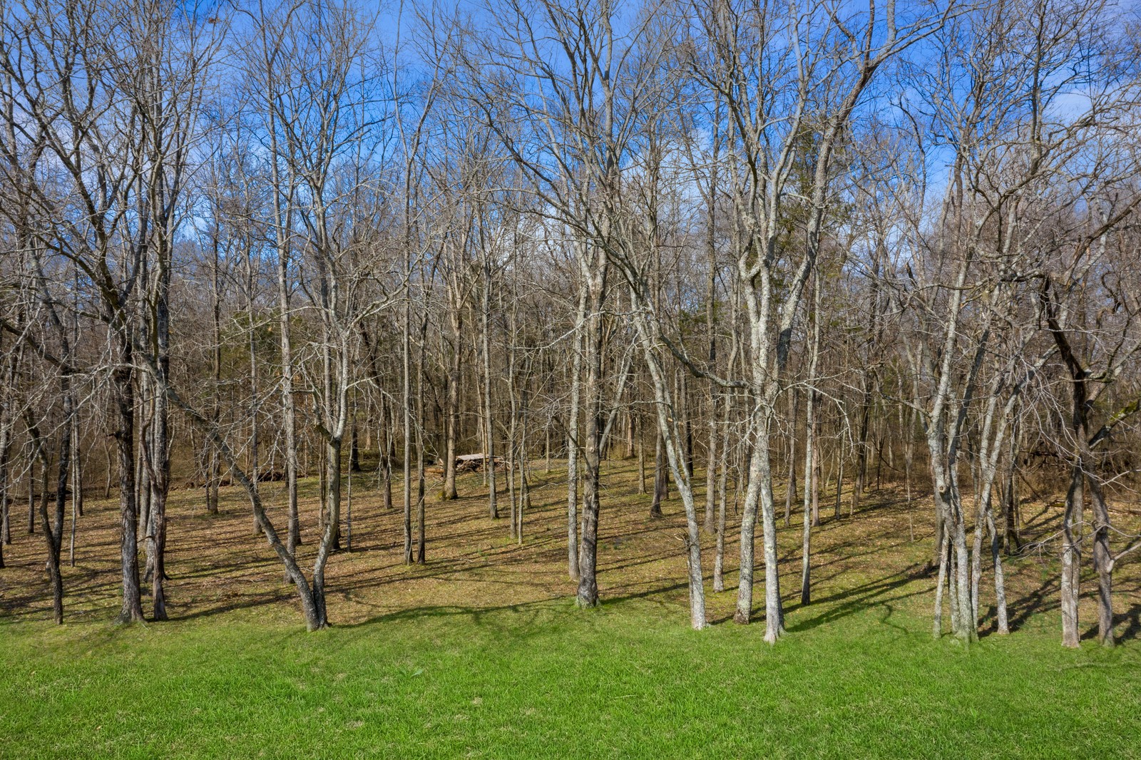 1506 Horn Springs Road Lebanon, TN 37087 - Photo 49 of 50 Gallery Image 49