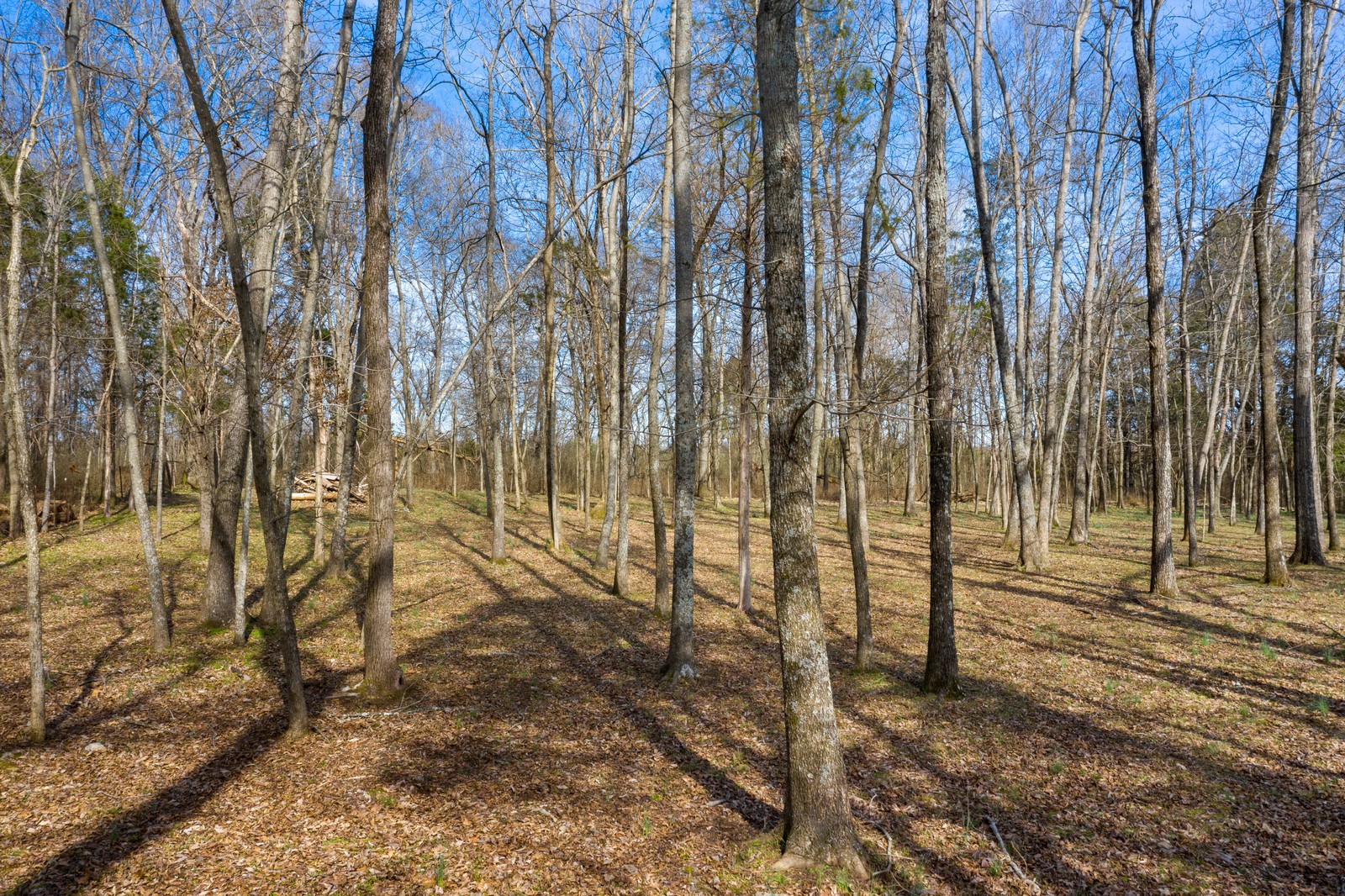 1506 Horn Springs Road Lebanon, TN 37087 - Photo 50 of 50 Gallery Image 50