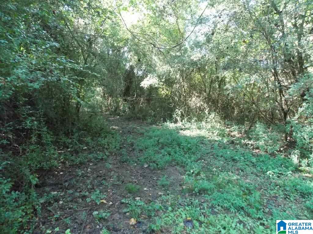 375 Marble Quarry Road, Unit 7 ACRES Talladega, AL 35160 - Photo 33 of 33