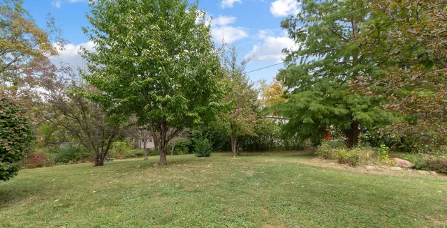 a view of outdoor space and yard
