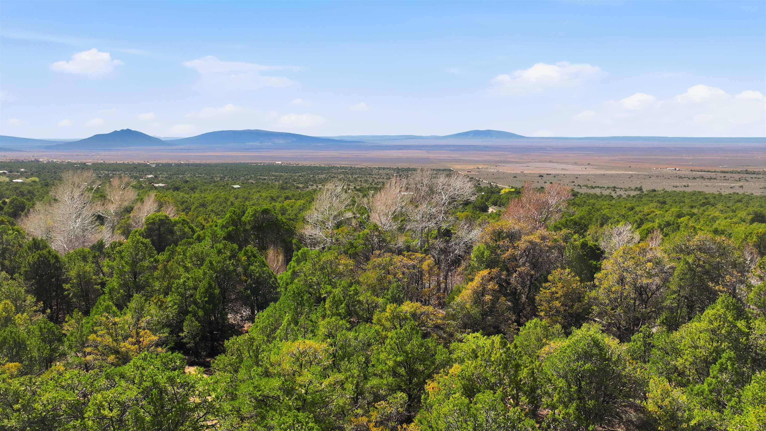 4 Plus Acres Vir Sylvia Road Questa, NM 87556 - Photo 18 of 28 Gallery Image 18
