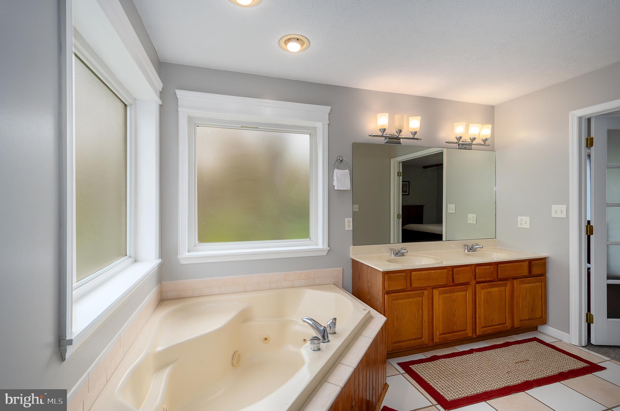 638 Glendale Road Oakland, MD 21550 - Photo 34 of 56 a bathroom with a tub a sink and a large mirror