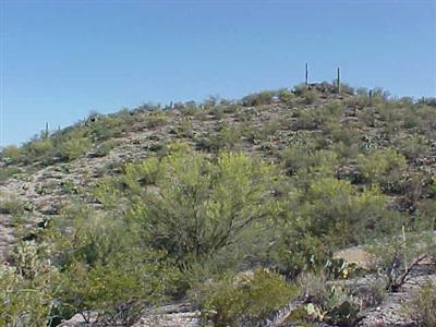 3256 Saguaro Ridge Drive Tucson, AZ 85745 - Photo 4 of 7 Additional Photo
