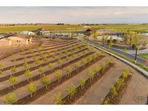 a view of a swimming pool with a lake view