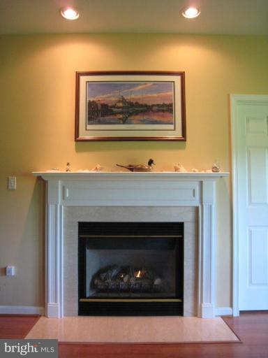4843 Solomons Island Road Lothian, MD 20711 - Photo 15 of 18 Fireplace