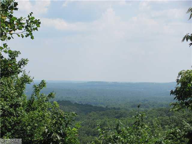 159 Howell Road Pilot Mountain, NC 27041 - Photo 2 of 15 View.