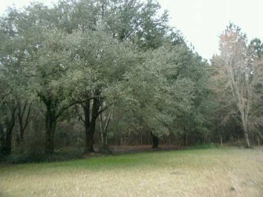 73668 Penn Mill Road Covington, LA 70435 - Photo 3 of 4 Gallery Image 3
