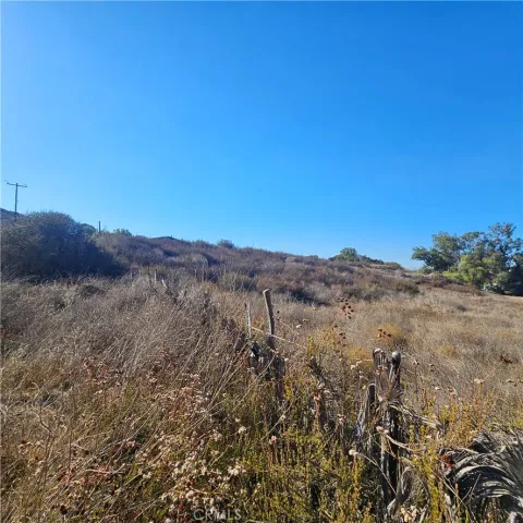 a view of mountain and tree