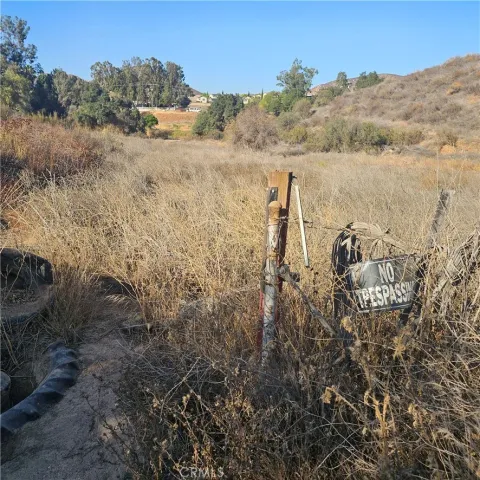 a view of a dry yard with lots of trees