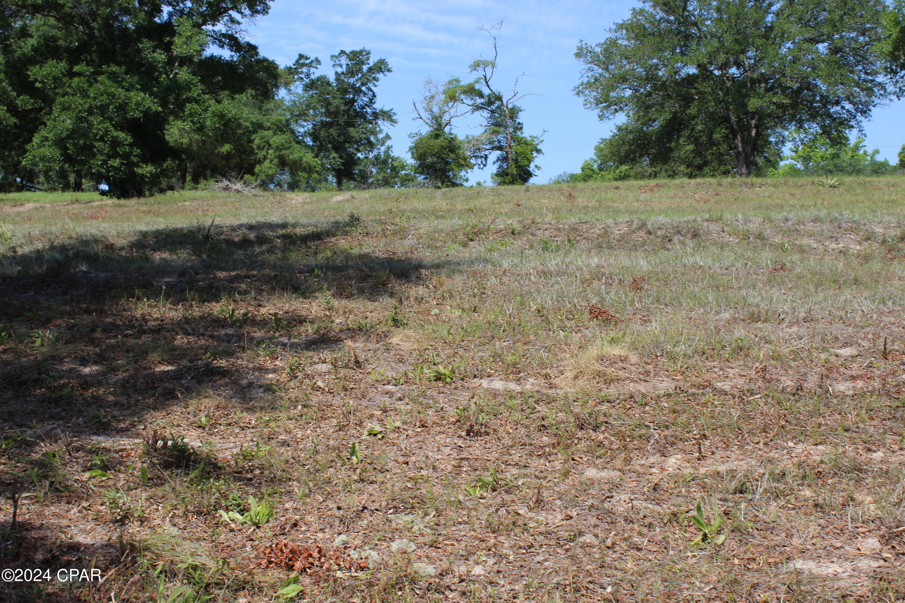 Tbd Twin Pond Road Vernon, FL 32462 - Photo 35 of 42 Gallery Image 35