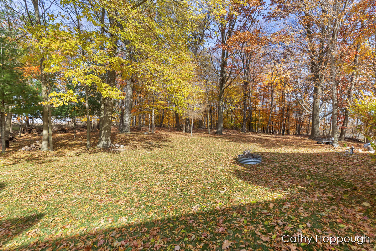 3494 Bradford Road Ionia, MI 48846 - Photo 33 of 48