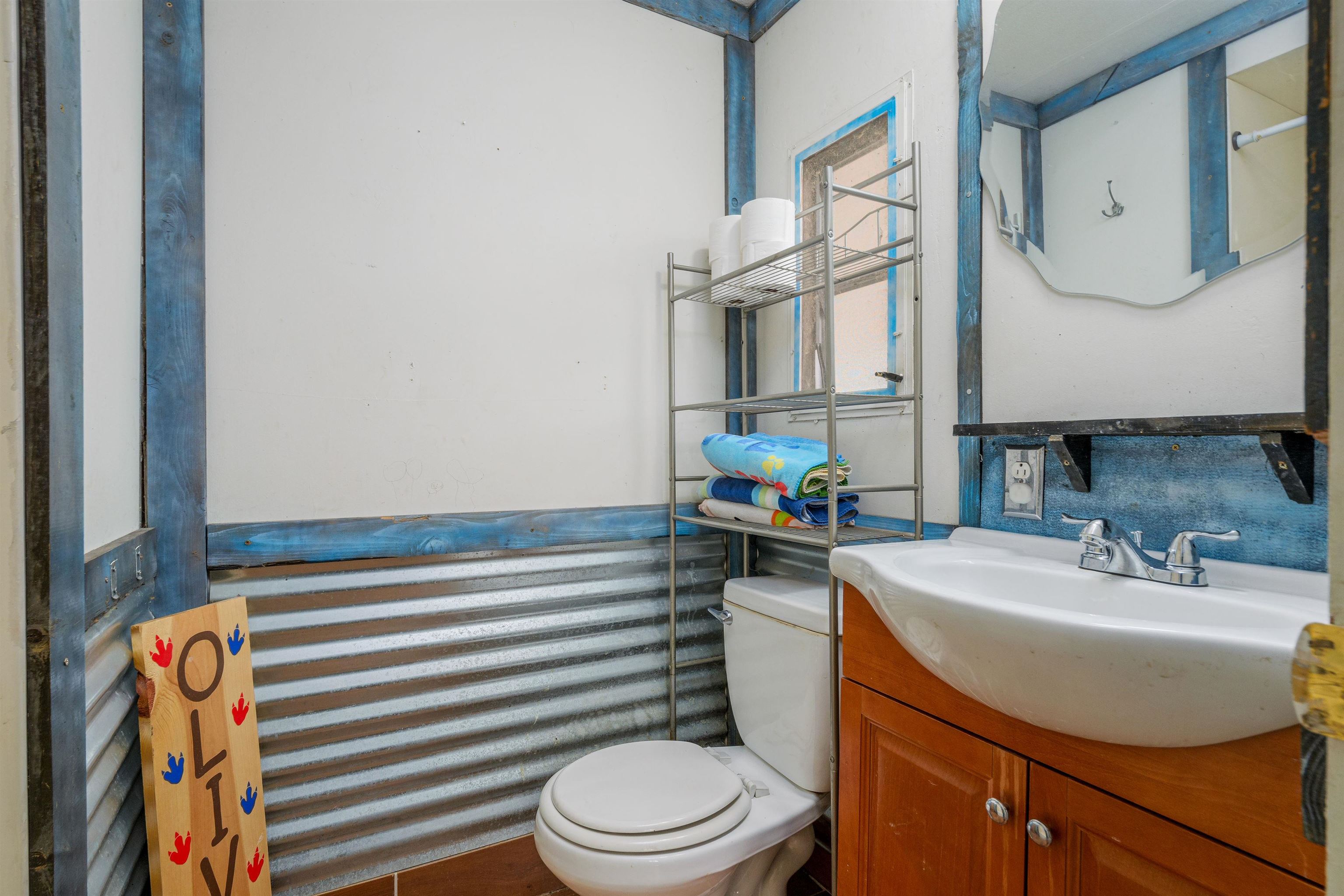 265 Southwest 11th Avenue Cedaredge, CO 81413 - Photo 19 of 39 a bathroom with a sink a toilet and mirror