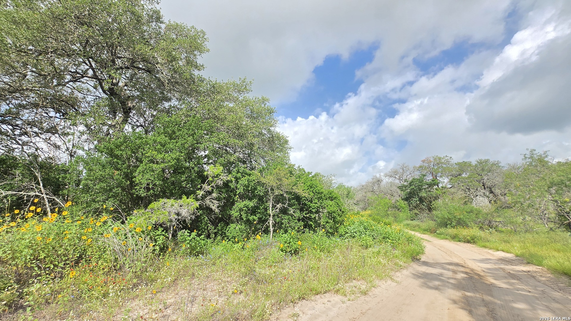 289 Zigmond Road Poteet, TX 78065 - Photo 4 of 37