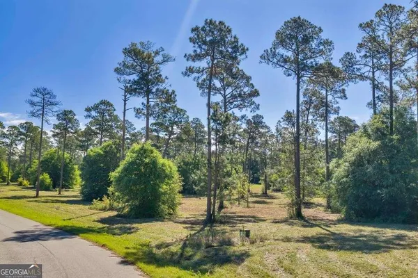 $22,900 | Tbd Swann Dr Lot 46 Block A, Cordele, GA 31015