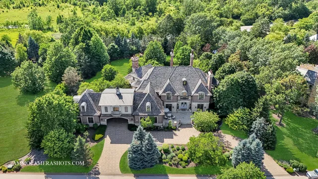 a living room with furniture a fireplace and a chandelier