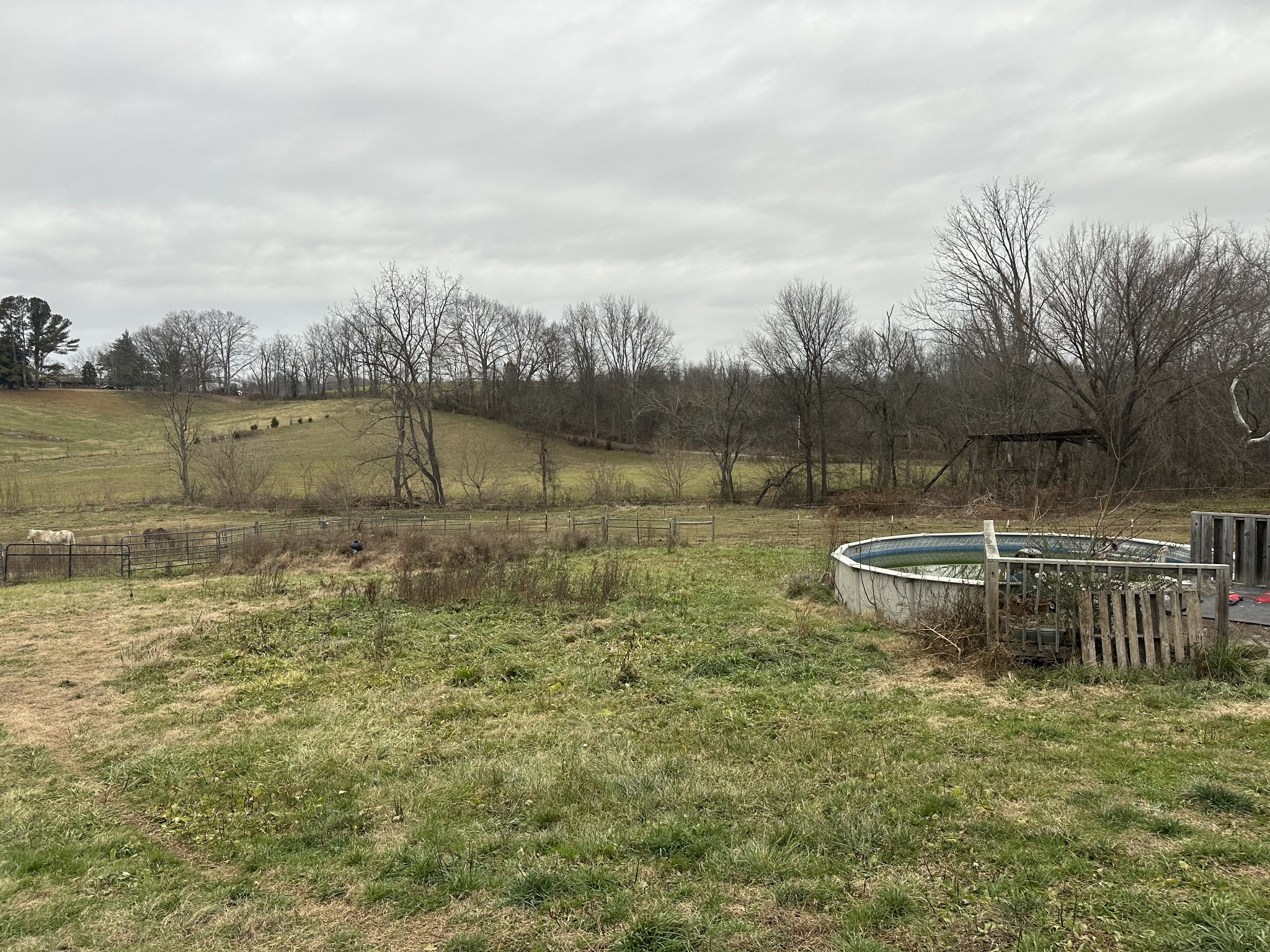 477 Carson Creek Road Limestone, TN 37681 - Photo 11 of 11 a view of a lake with houses in the back