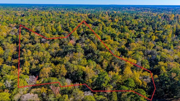$60,000 | Tbd Rolling Rdg Road, Goodrich, TX 77335