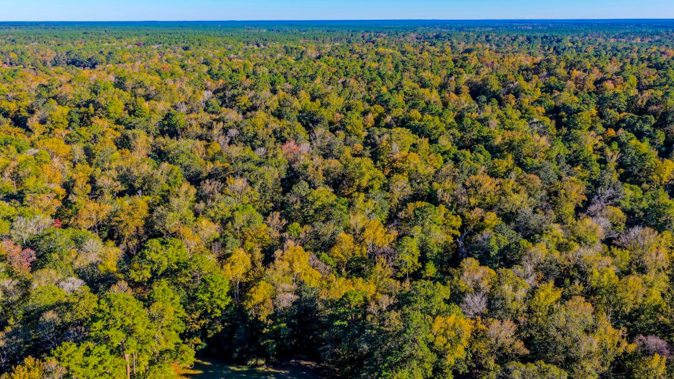 Tbd Rolling Rdg Road Goodrich, TX 77335 - Photo 3 of 3 a view of a field with an outdoor space