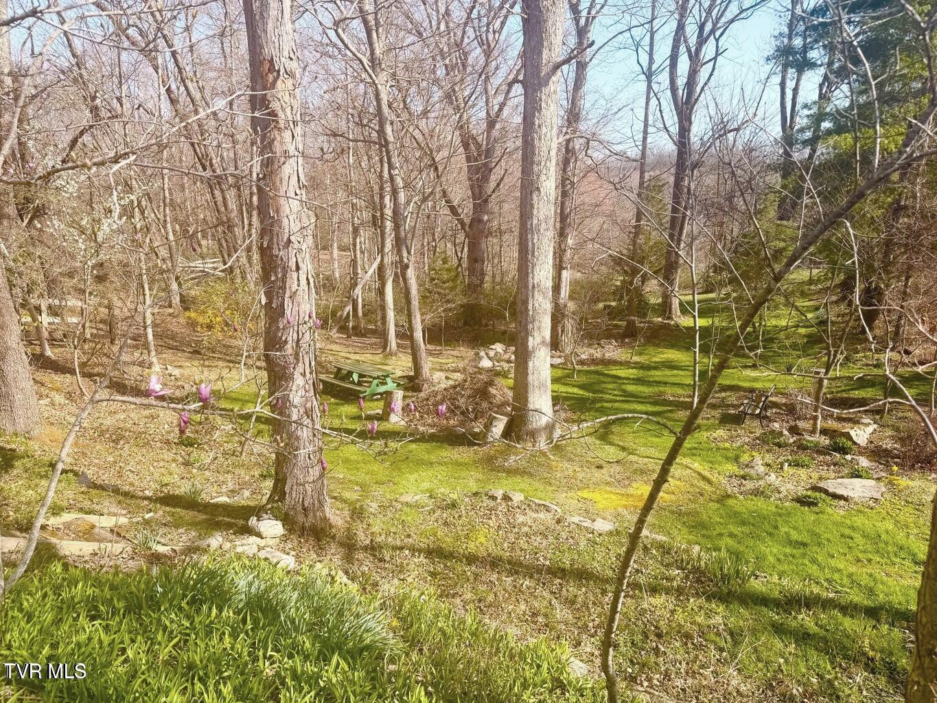 121 Beverly Avenue Southwest Wise, VA 24293 - Photo 29 of 55 property