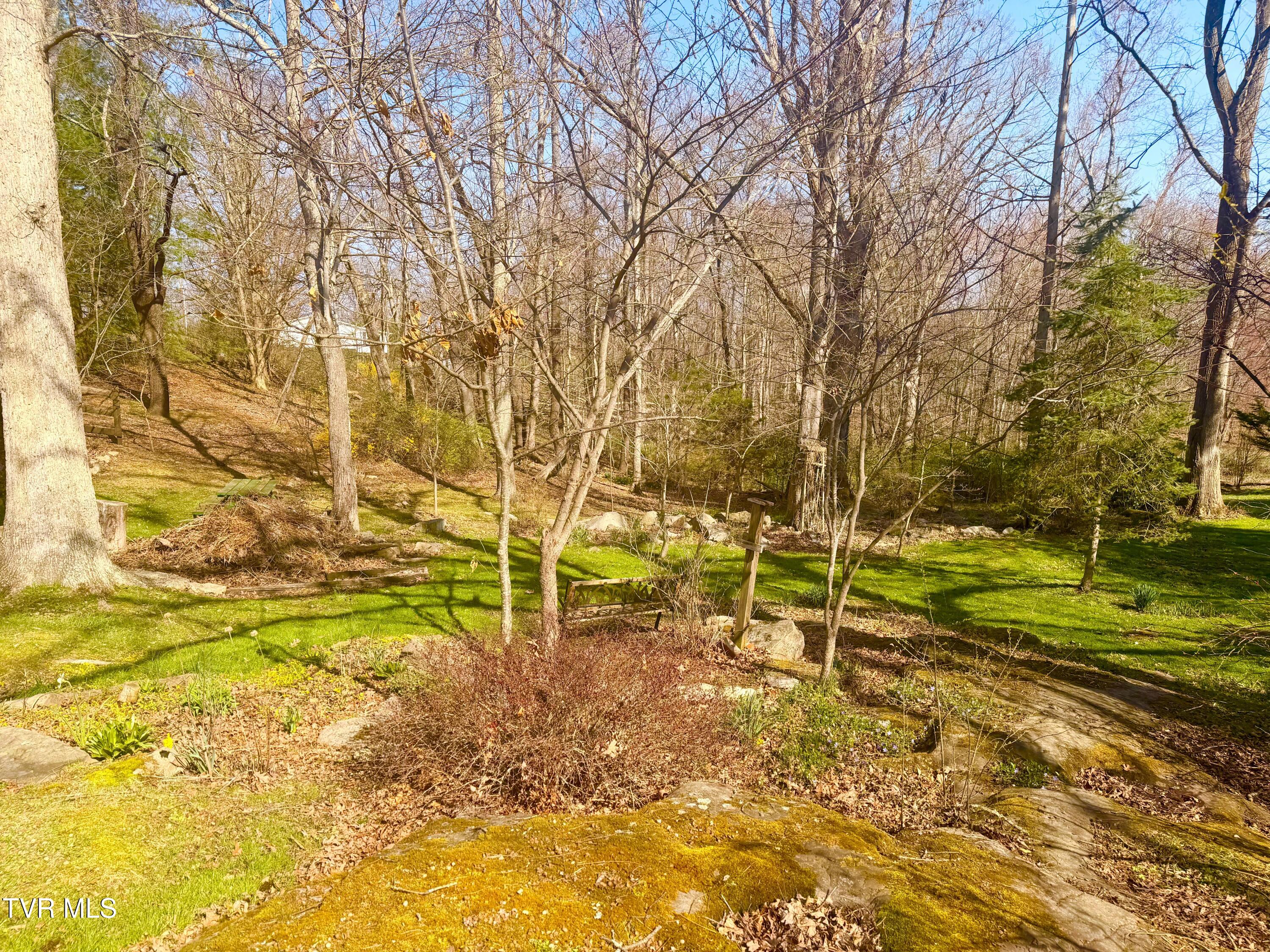 121 Beverly Avenue Southwest Wise, VA 24293 - Photo 30 of 84 IMG_4119