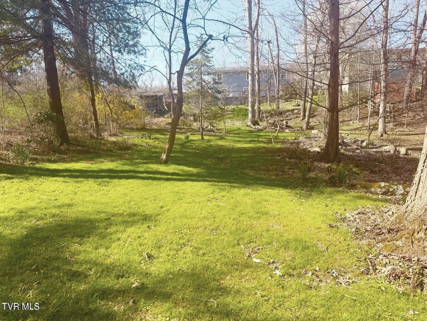 121 Beverly Avenue Southwest Wise, VA 24293 - Photo 31 of 55 yard