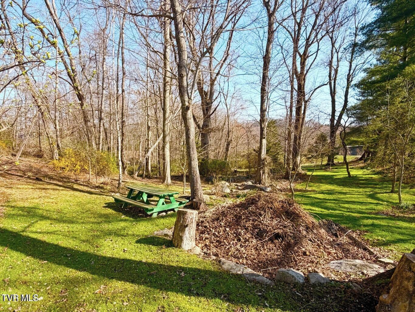 121 Beverly Avenue Southwest Wise, VA 24293 - Photo 32 of 55 yard